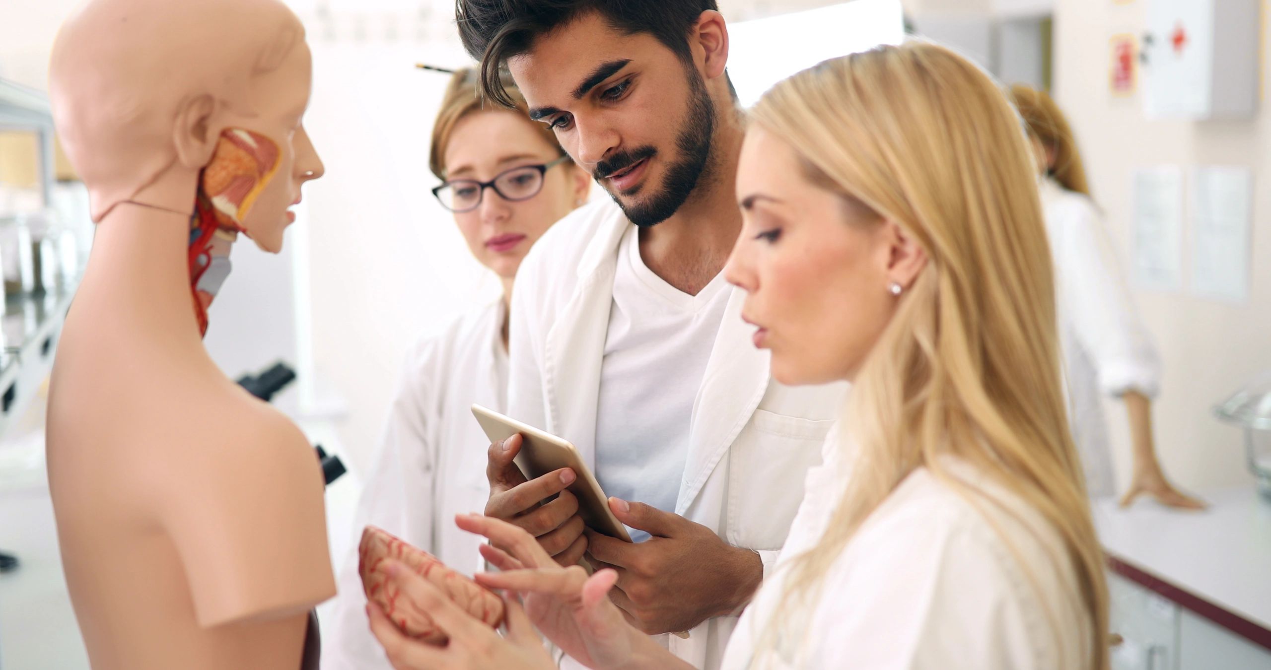 cosmetic surgery training