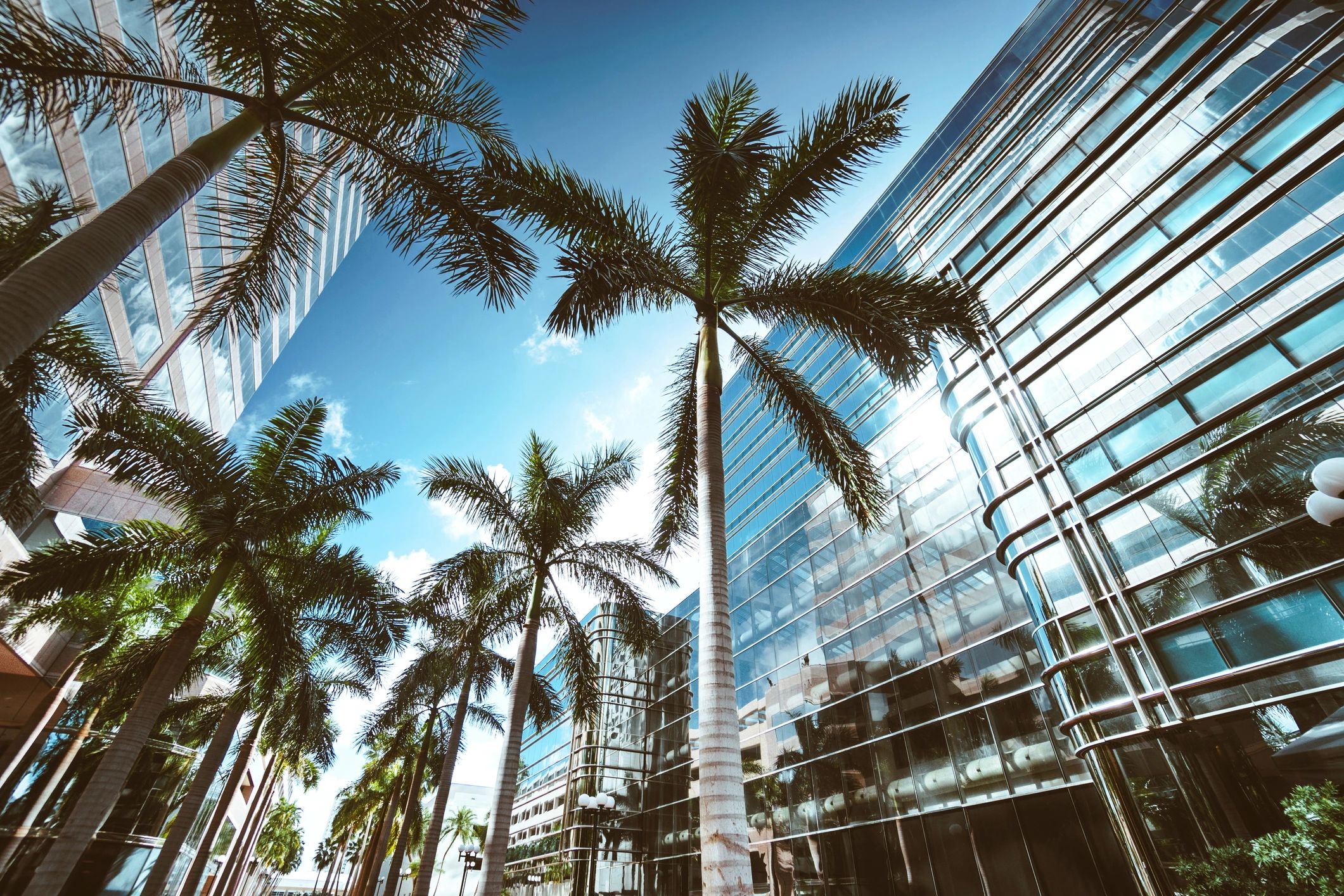 modern medical association office Florida